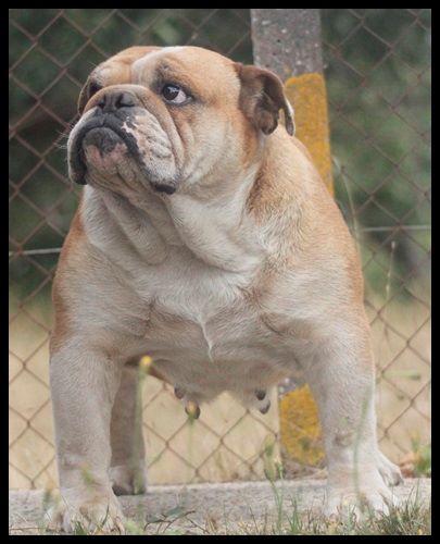 yukon parti harcos UrÁnia